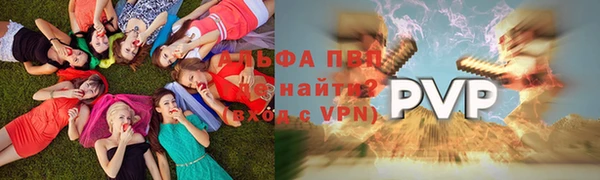шишки Пересвет
