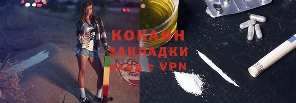шишки Пересвет