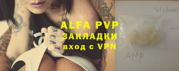шишки Пересвет