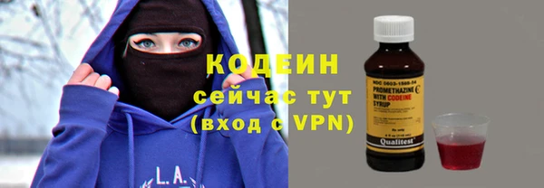 шишки Пересвет