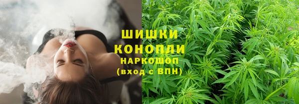 шишки Пересвет