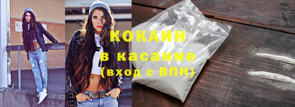 шишки Пересвет