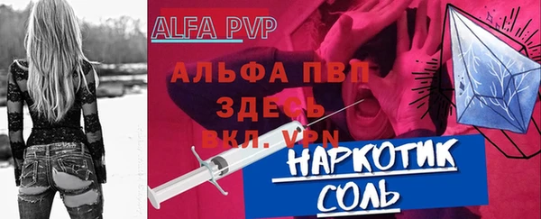 шишки Пересвет