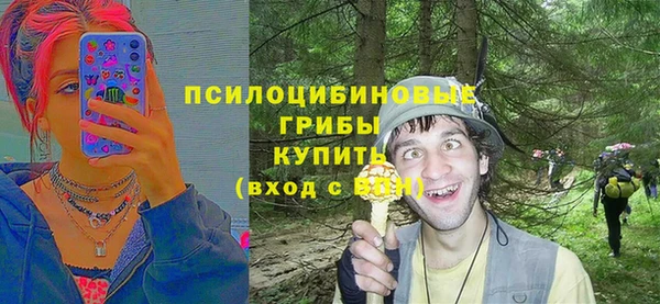 прущие крисы Переславль-Залесский
