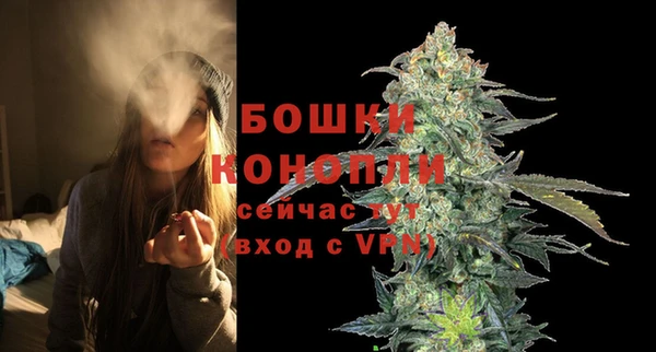 прущие крисы Переславль-Залесский