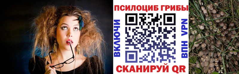 Галлюциногенные грибы мухоморы  Тетюши 